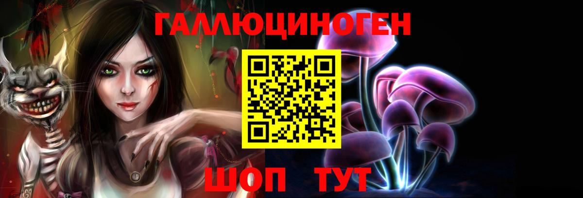 Псилоцибиновые грибы Psilocybe  Вход с VPN  Свободный 